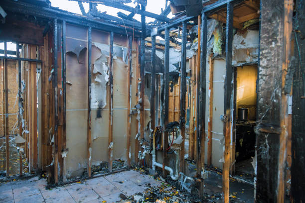 Professional Emergency Fire Cleanup technician working in Lely, FL